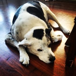 Meet your Posher, Miller